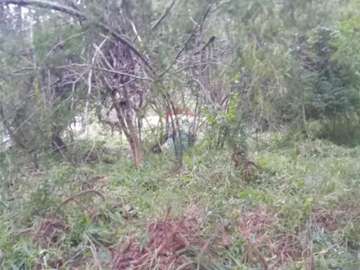 Terreno Residencial à venda em Granja Mafra, Teresópolis - RJ