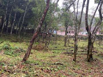 Terreno Residencial à venda em Comary, Teresópolis - RJ
