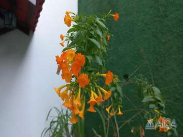 Casa à venda em Quissamã, Petrópolis - RJ
