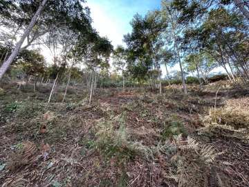 Terreno Residencial à venda em Parque do Imbui, Teresópolis - RJ