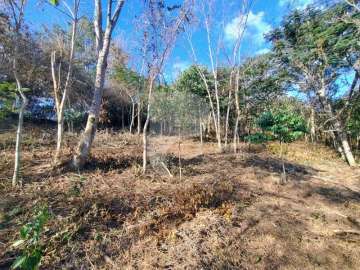 Terreno Residencial à venda em Pedro do Rio, Petrópolis - RJ