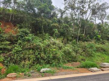 Terreno Residencial à venda em Salvaterra, Juiz de Fora - MG