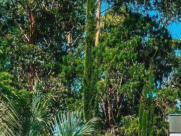 Casa à venda em Fazenda Suiça, Teresópolis - RJ