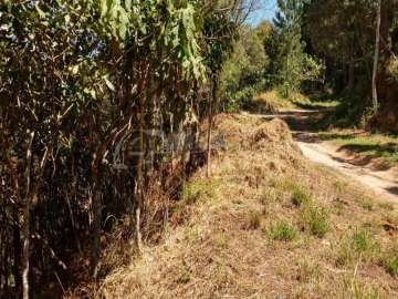 Terreno Residencial à venda em Fazenda Inglesa, Petrópolis - RJ
