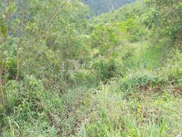 Terreno Residencial à venda em Itaipava, Petrópolis - RJ