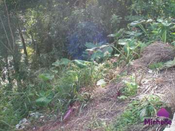 Terreno Residencial à venda em Bom Retiro, Teresópolis - RJ