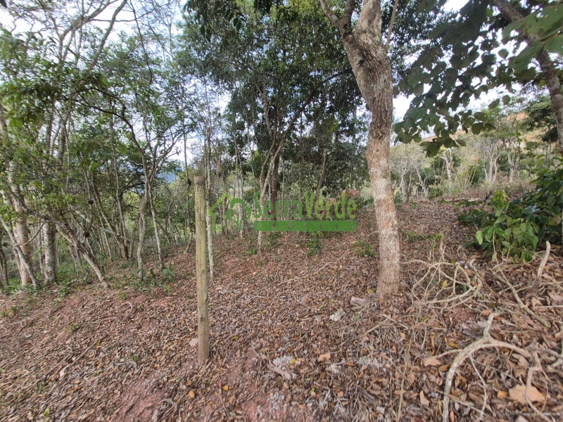 Terreno Residencial à venda em Itaipava, Petrópolis - RJ - Foto 2