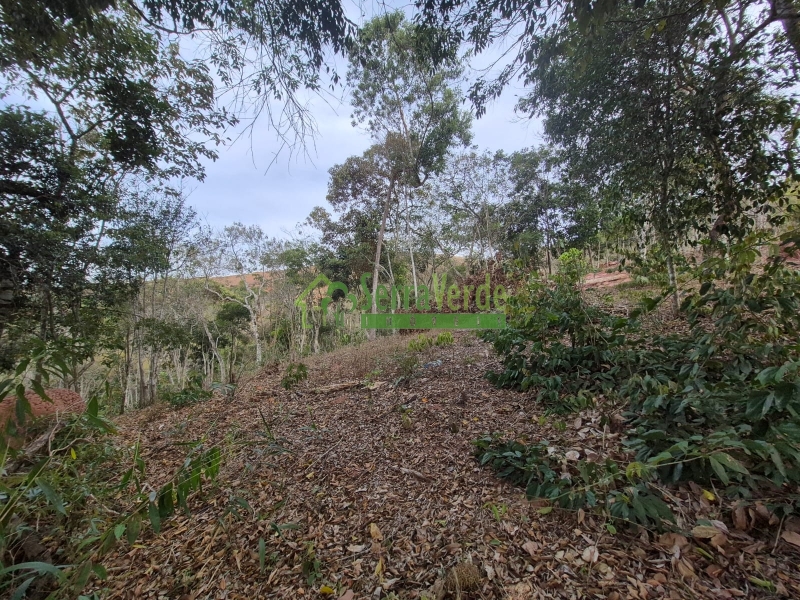 Terreno Residencial à venda em Itaipava, Petrópolis - RJ - Foto 3