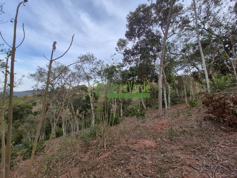 Terreno Residencial à venda em Itaipava, Petrópolis - RJ - Foto 5