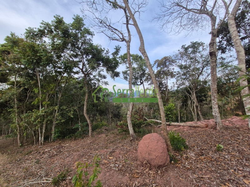 Terreno Residencial à venda em Itaipava, Petrópolis - RJ - Foto 7
