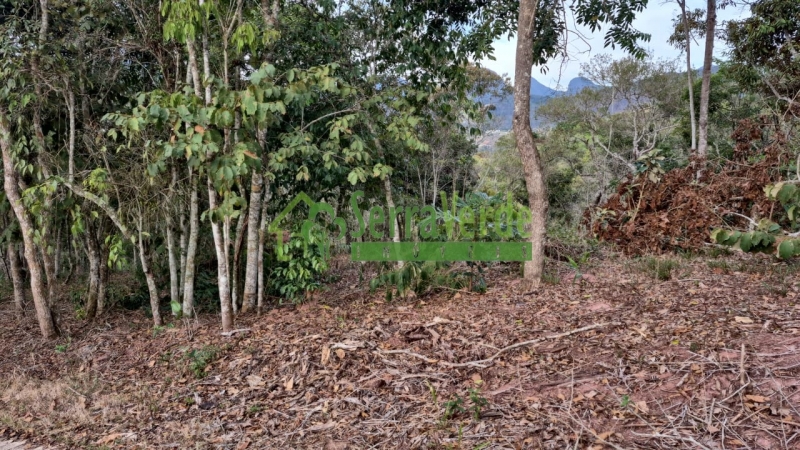 Terreno Residencial à venda em Itaipava, Petrópolis - RJ - Foto 9