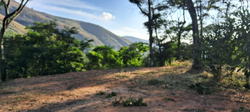 Terreno Residencial à venda em Posse, Petrópolis - RJ - Foto 4
