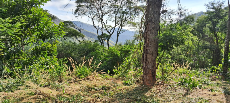 Terreno Residencial à venda em Posse, Petrópolis - RJ - Foto 5