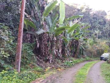 Terreno Residencial à venda em Fazenda Boa Fé, Teresópolis - RJ