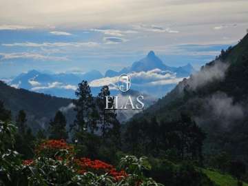 Terreno Residencial à venda em Itaipava, Petrópolis - RJ