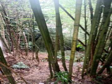 Terreno Residencial à venda em Valparaíso, Petrópolis - RJ