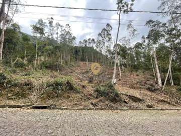 Terreno Residencial à venda em Cônego, Nova Friburgo - RJ