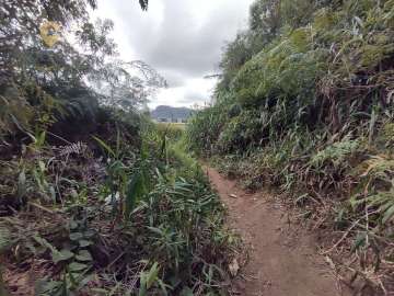 Terreno Residencial à venda em Chácara Paraíso, Nova Friburgo - RJ