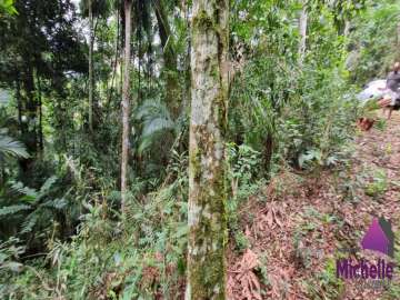 Terreno Residencial à venda em Prata, Teresópolis - RJ