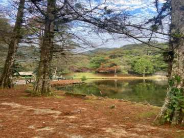 Terreno Residencial à venda em Carlos Guinle, Teresópolis - RJ