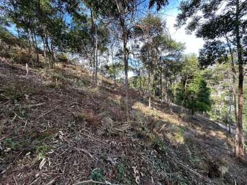 Terreno Residencial à venda em Parque do Imbui, Teresópolis - RJ