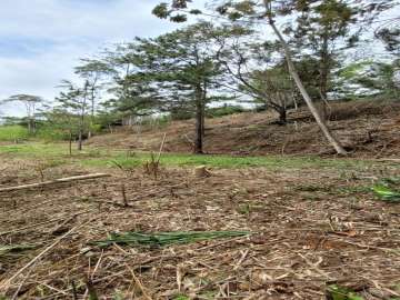 Terreno Residencial à venda em Fazenda Boa Fé, Teresópolis - RJ