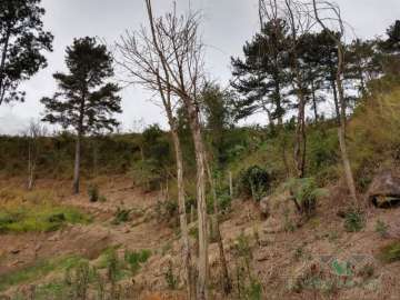 Terreno Residencial à venda em Itaipava, Petrópolis - RJ