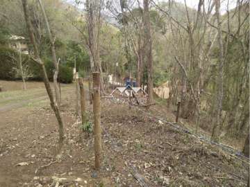 Terreno Residencial à venda em Araras, Petrópolis - RJ