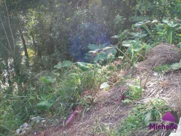 Terreno Residencial à venda em Bom Retiro, Teresópolis - RJ